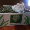 10lbs 2nd Cutting Perfect Blend Timothy Hay | smallpetselect-development