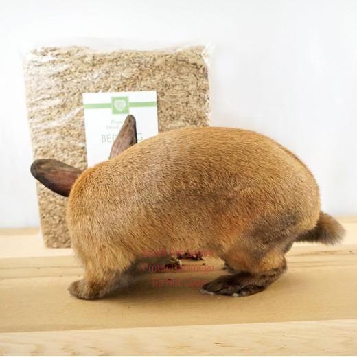 2nd Cut Timothy + Bedding | smallpetselect-development