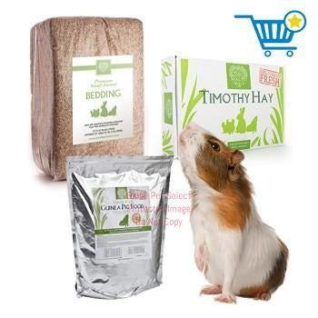 2nd Cut Timothy + Guinea Pig Pellets + Bedding | smallpetselect-development