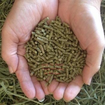 2nd Cut Timothy + Guinea Pig Pellets | smallpetselect-development