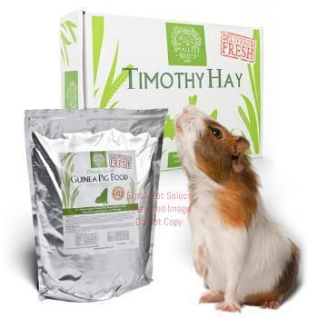 2nd Cut Timothy + Guinea Pig Pellets | smallpetselect-development