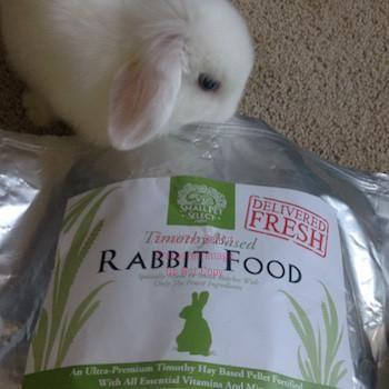 2nd Cut Timothy + Rabbit Pellets + Bedding | smallpetselect-development