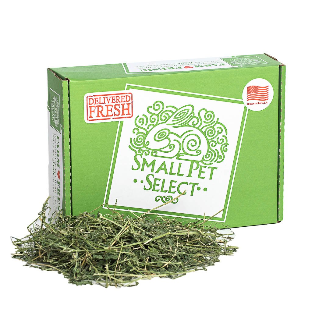 Alfalfa Hay | smallpetselect-development