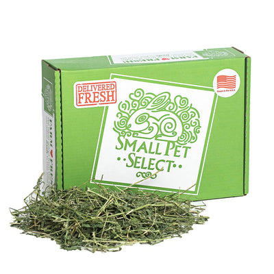Alfalfa Hay | smallpetselect-development