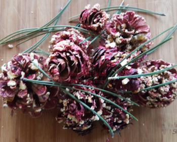 Fancy Fruited Pine Cone Chews | smallpetselect-development