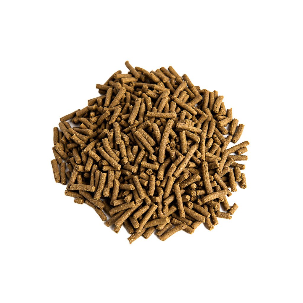 Ferret Diet from Marshalls | smallpetselect-development