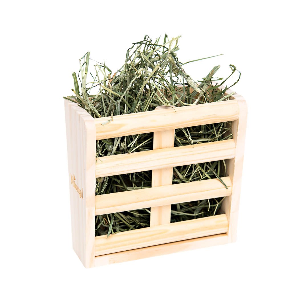 [product title] Small Animal Supplies | smallpetselect-development