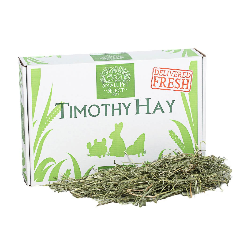 5lb 1st Cutting High Fiber Timothy Hay | smallpetselect-development