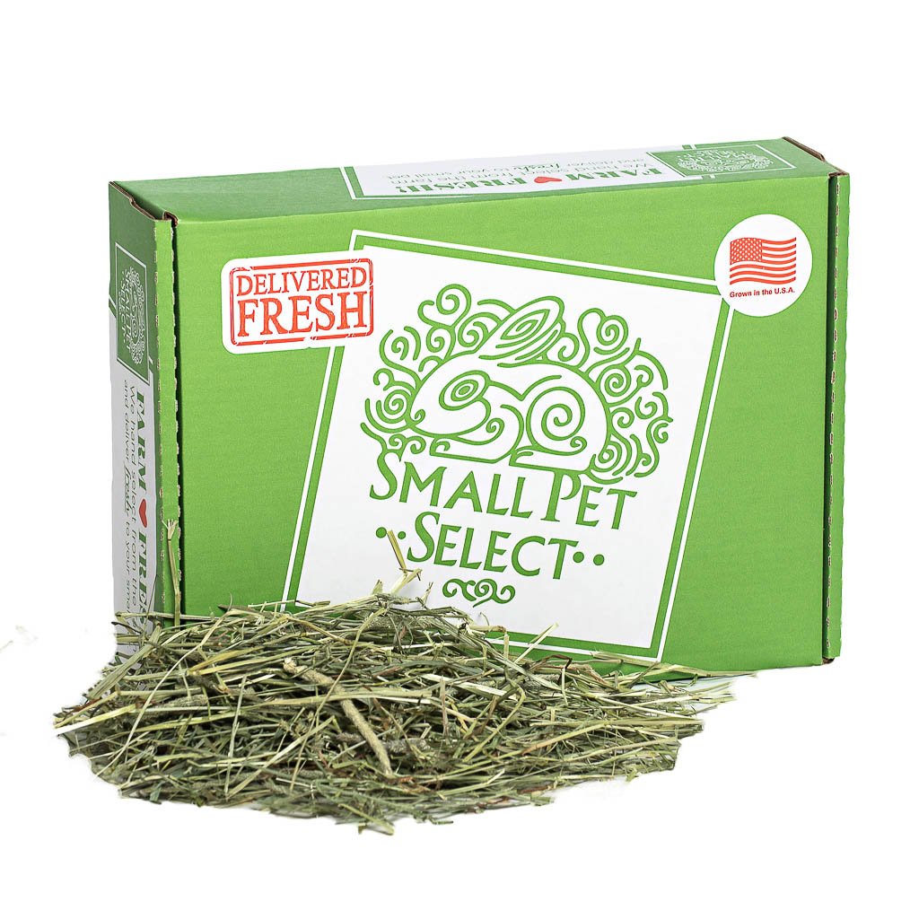 1st Cutting "High Fiber" Timothy Hay | smallpetselect-development
