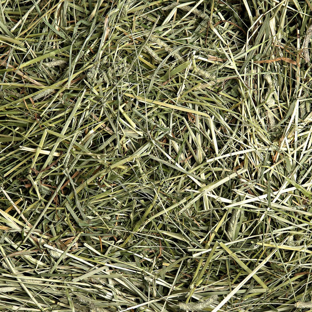 5lb 1st Cutting High Fiber Timothy Hay | smallpetselect-development