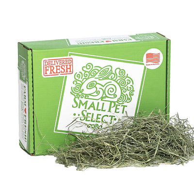 2nd Cutting "Perfect Blend" Timothy Hay | smallpetselect-development