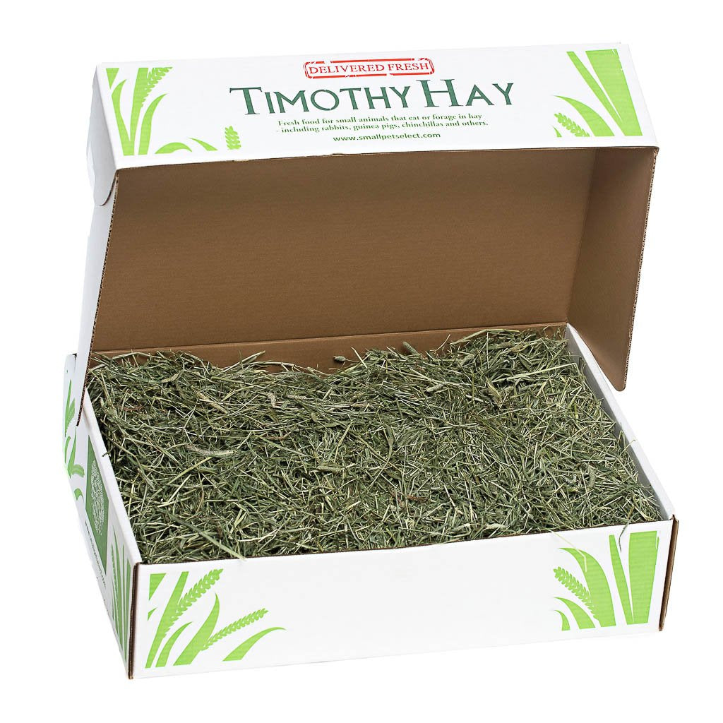 5lb 2nd Cutting Timothy Hay | smallpetselect-development