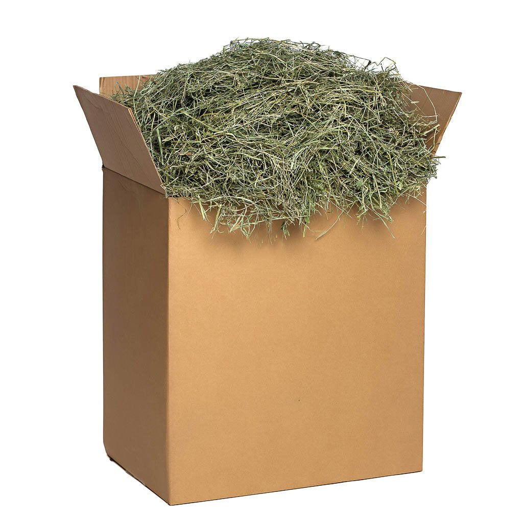 60lbs 2nd cutting timothy  hay | smallpetselect-development