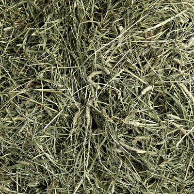 5lb 2nd Cutting Timothy Hay | smallpetselect-development