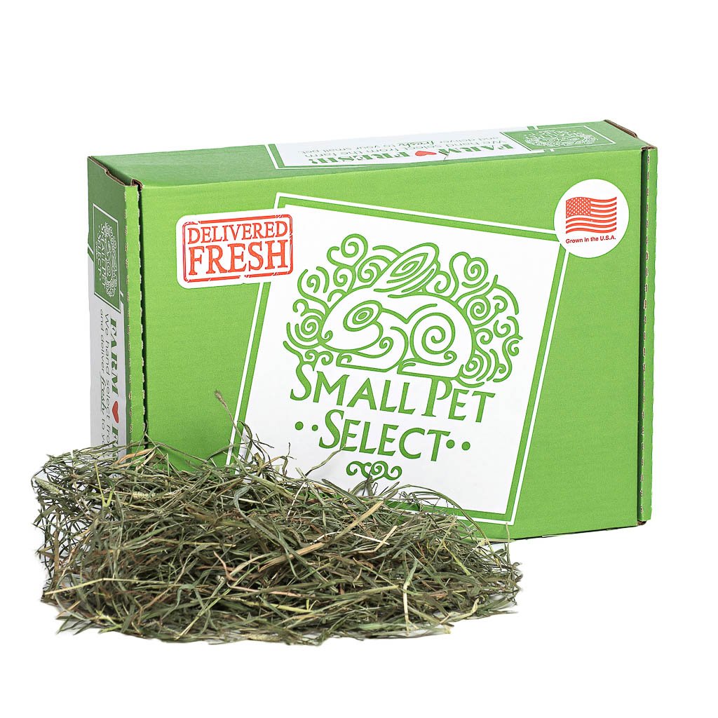 Test Upsell - 3rd Cutting "Super Soft" Timothy Hay | smallpetselect-development