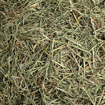 Test Upsell - 3rd Cutting "Super Soft" Timothy Hay | smallpetselect-development