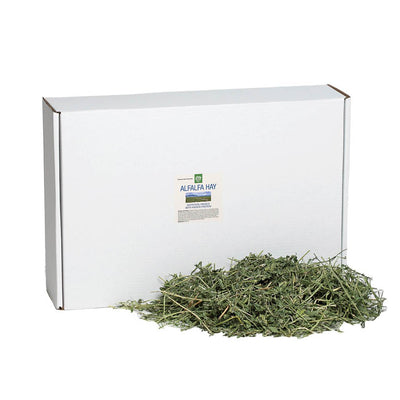Alfalfa Hay | smallpetselect-development