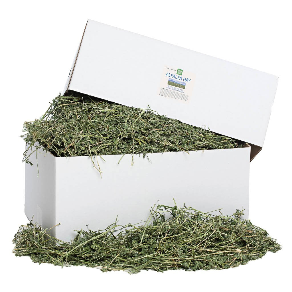 [product title] Small Animal Food | smallpetselect-development