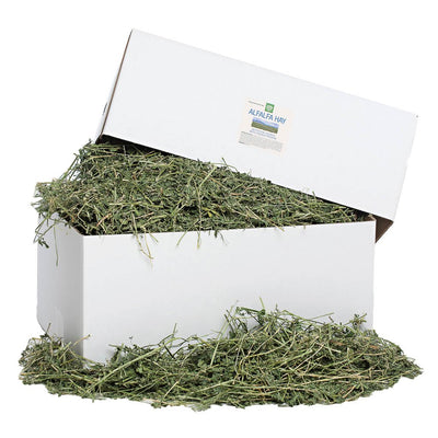 [product title] Small Animal Food | smallpetselect-development