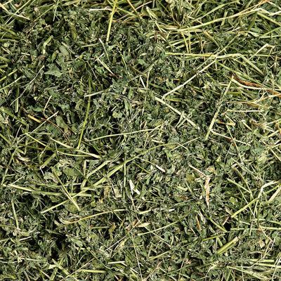 Alfalfa Hay | smallpetselect-development