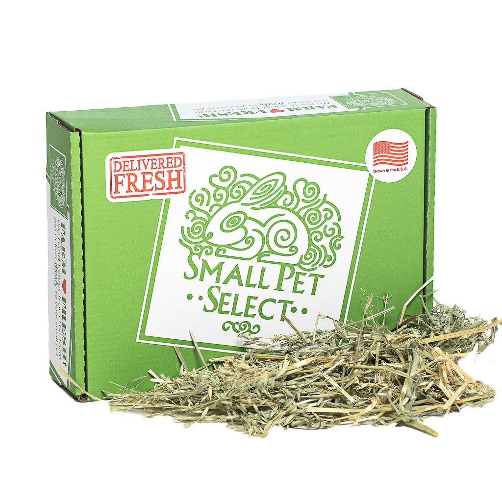 Oat Hay | smallpetselect-development