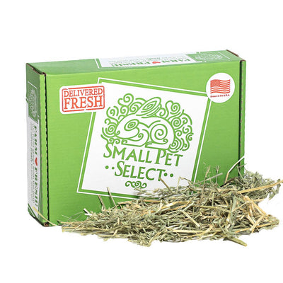 Oat Hay | smallpetselect-development