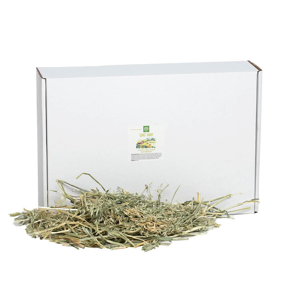 Oat Hay | smallpetselect-development