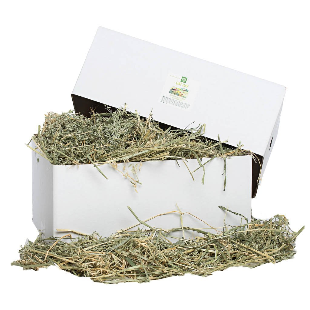 [product title] Small Animal Food | smallpetselect-development