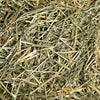 Oat Hay | smallpetselect-development