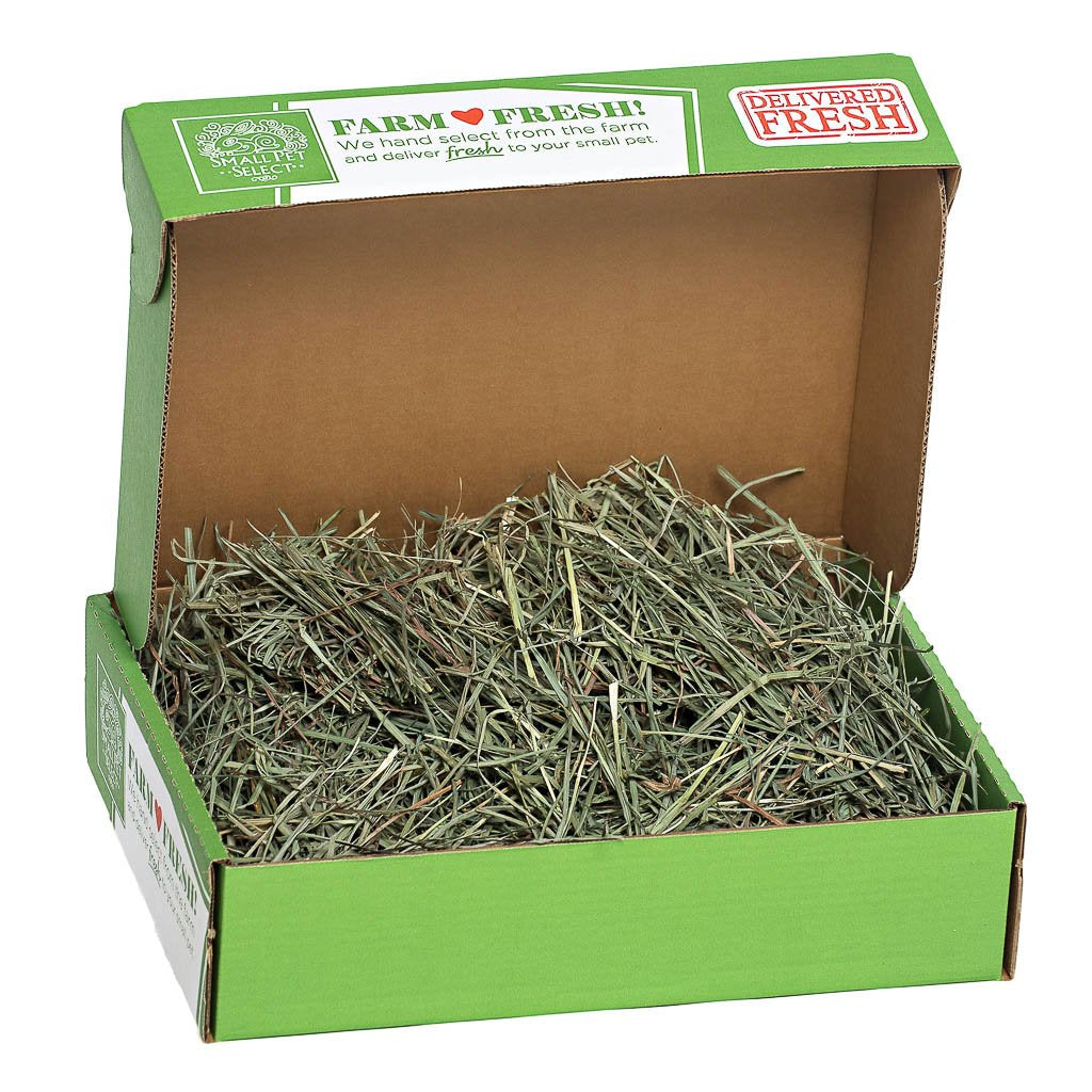 [product title] Small Animal Food | smallpetselect-development