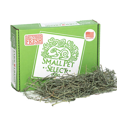 Orchard Hay | smallpetselect-development