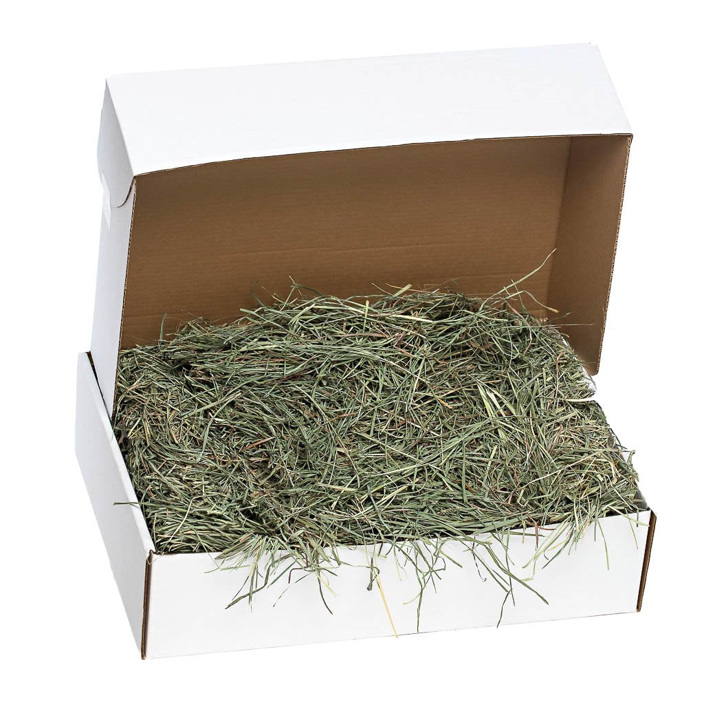 [product title] Small Animal Food | smallpetselect-development