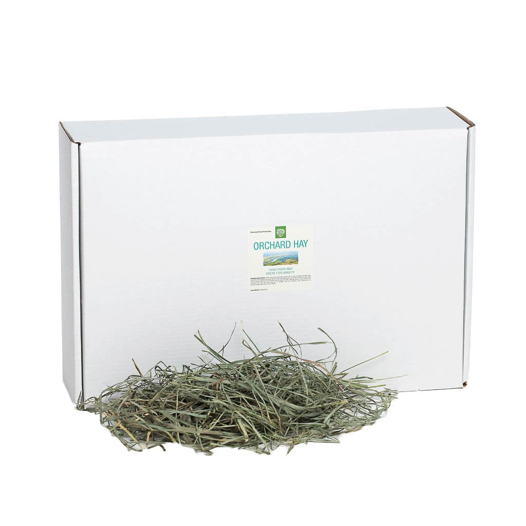 Orchard Hay | smallpetselect-development