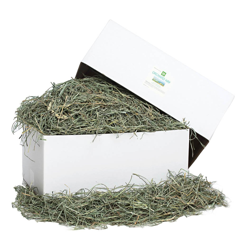 [product title] Small Animal Food | smallpetselect-development