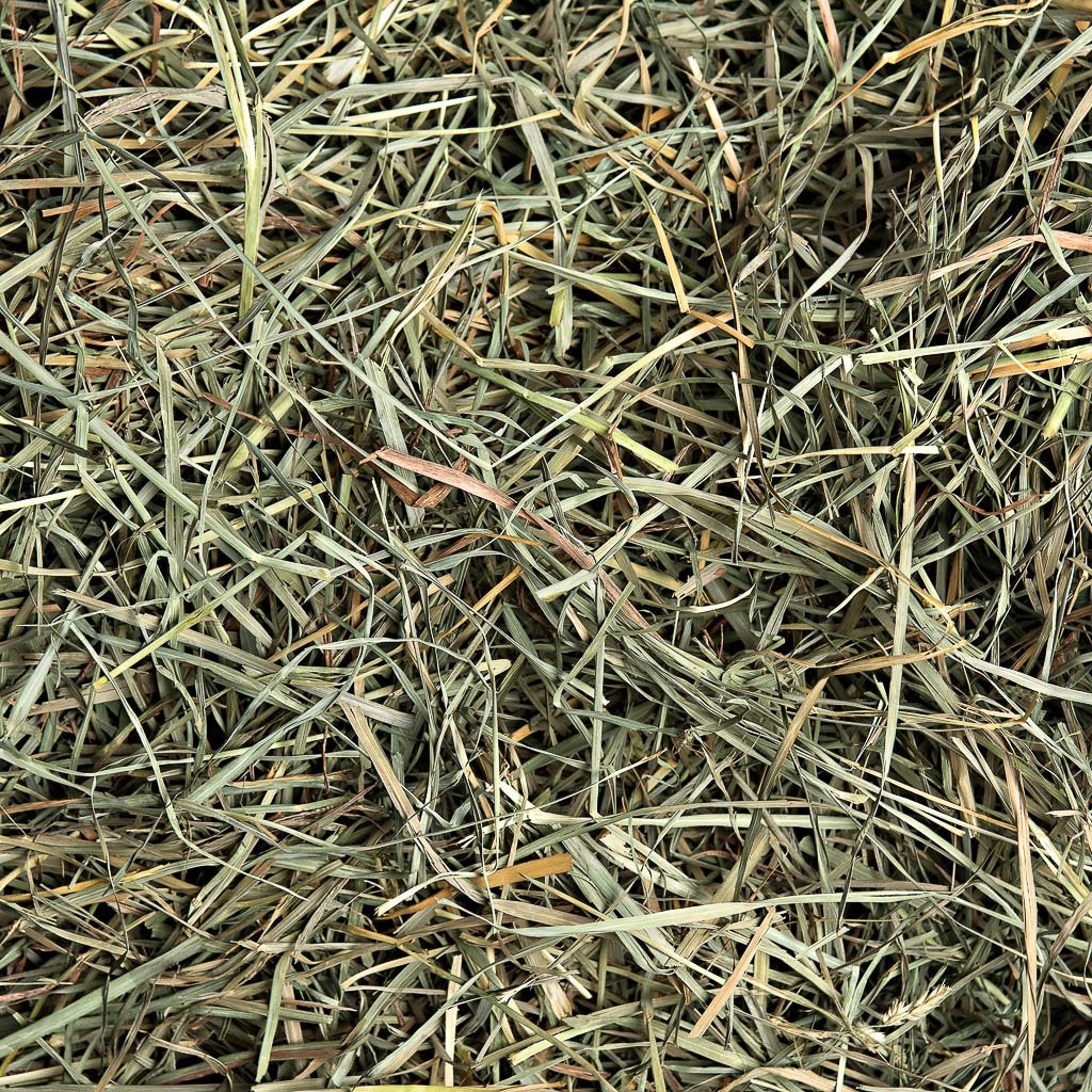 Orchard Hay | smallpetselect-development