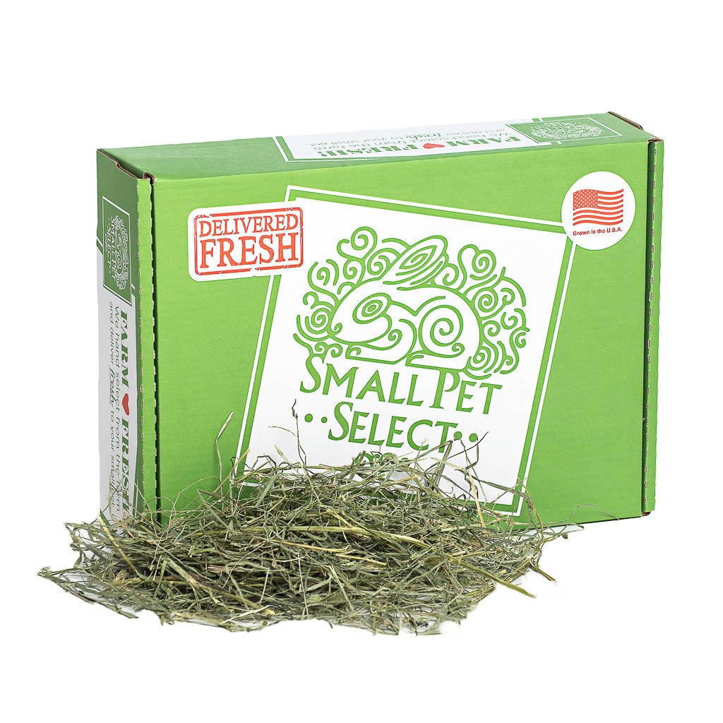 Orchard Medley | smallpetselect-development