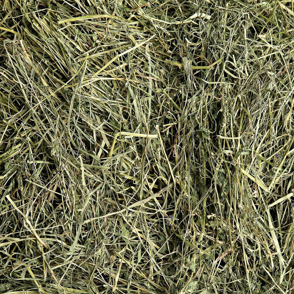 Orchard Medley | smallpetselect-development