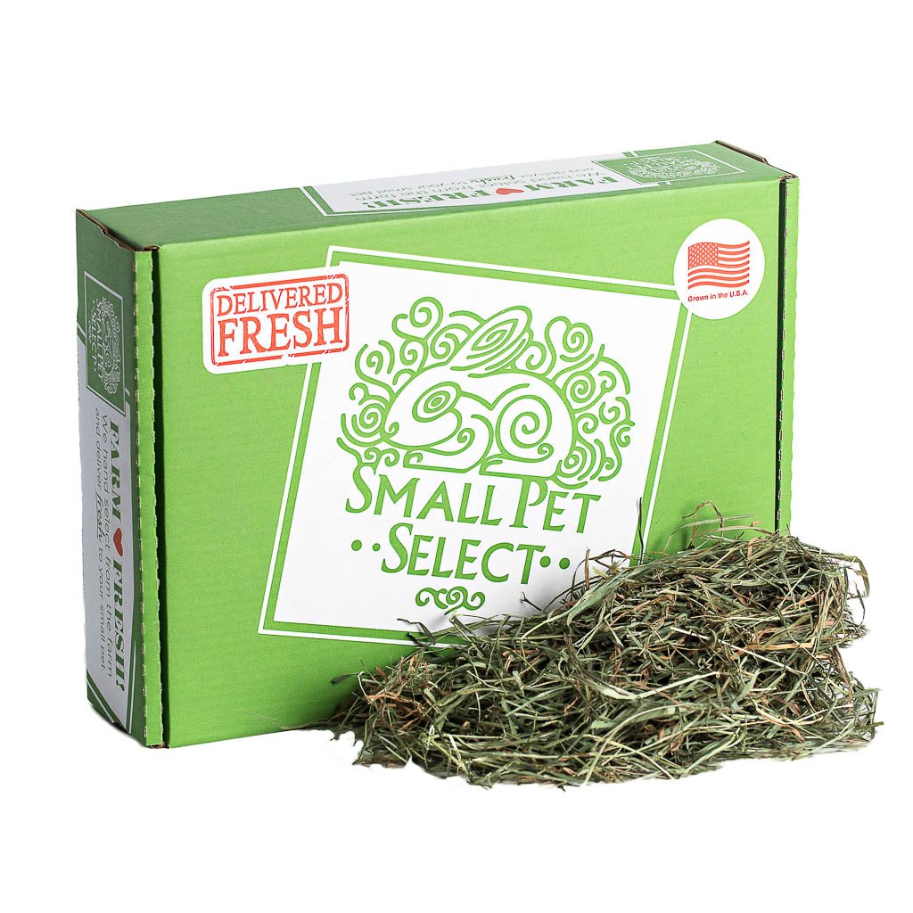 Super Supreme 3rd Cutting Timothy (only a tiny amount available- special find!) | smallpetselect-development