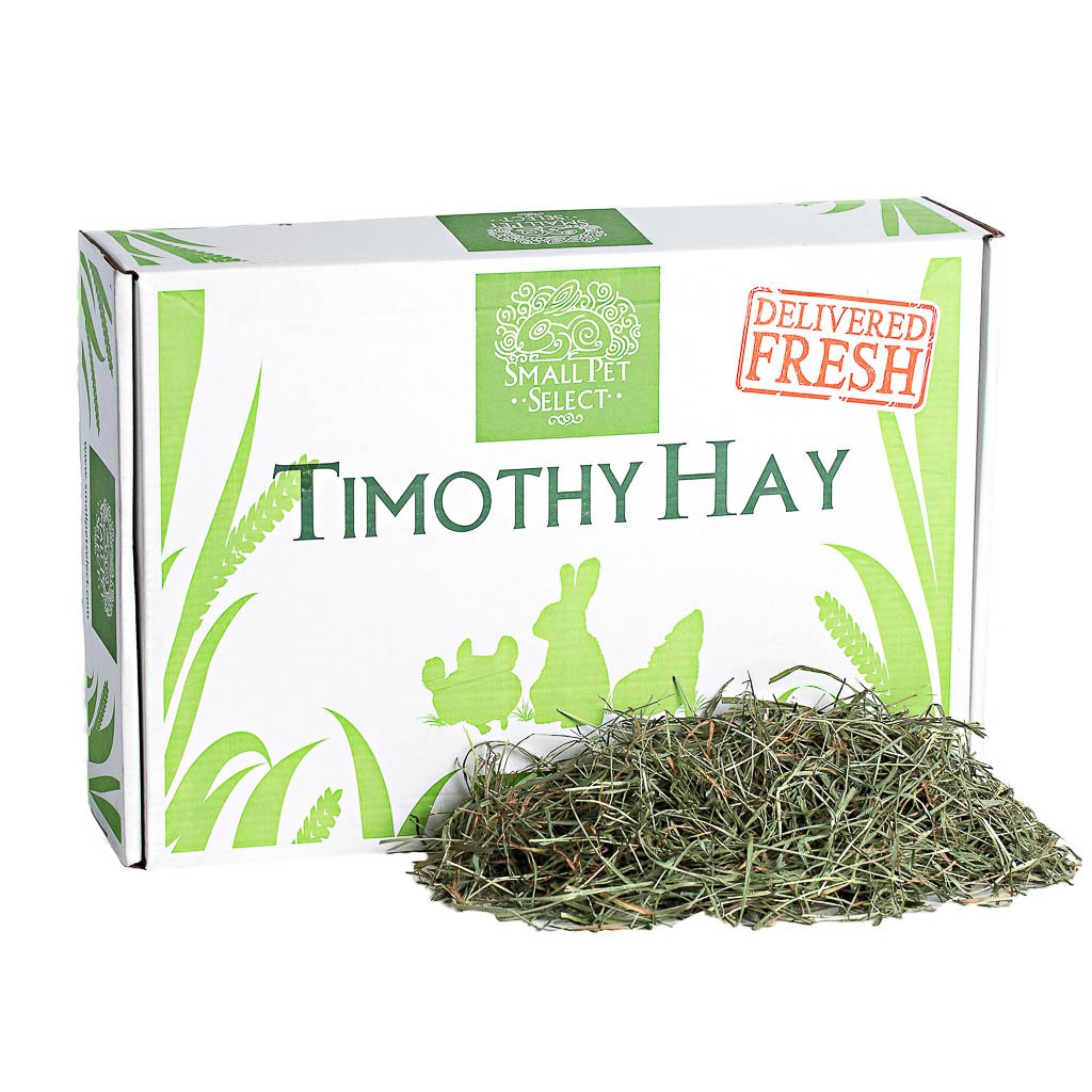 Super Supreme 3rd Cutting Timothy (only a tiny amount available- special find!) | smallpetselect-development