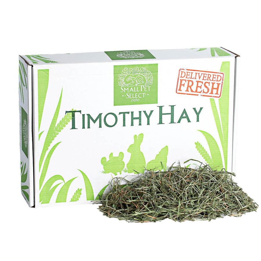 Super Supreme 3rd Cutting Timothy (only a tiny amount available- special find!) | smallpetselect-development