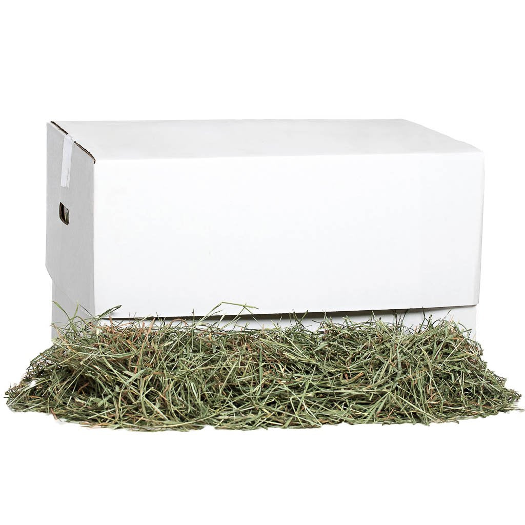 [product title] Small Animal Food | smallpetselect-development