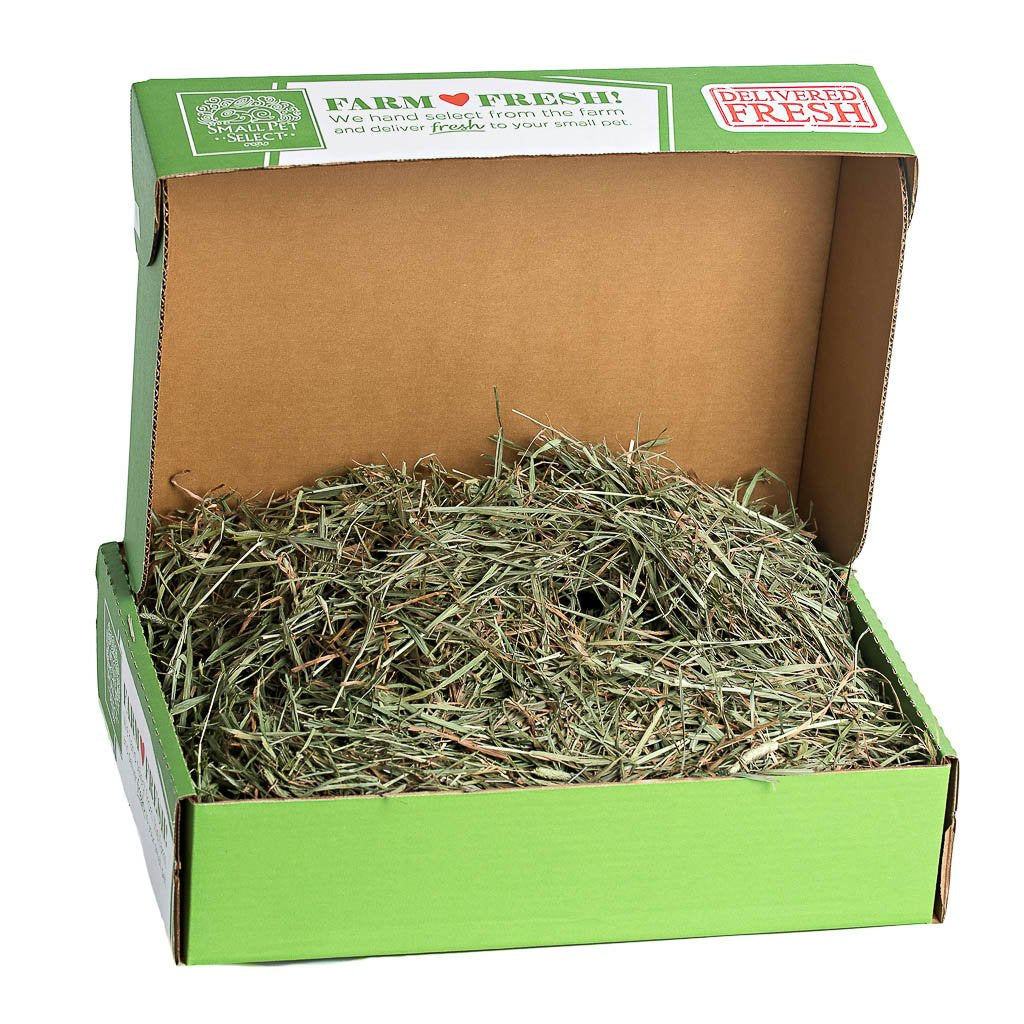 [product title] Small Animal Food | smallpetselect-development