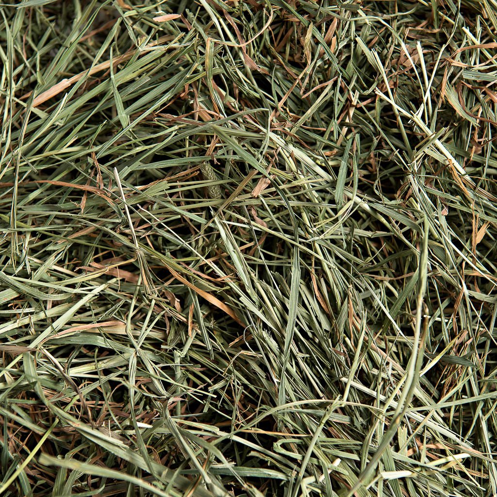 Super Supreme 3rd Cutting Timothy (only a tiny amount available- special find!) | smallpetselect-development