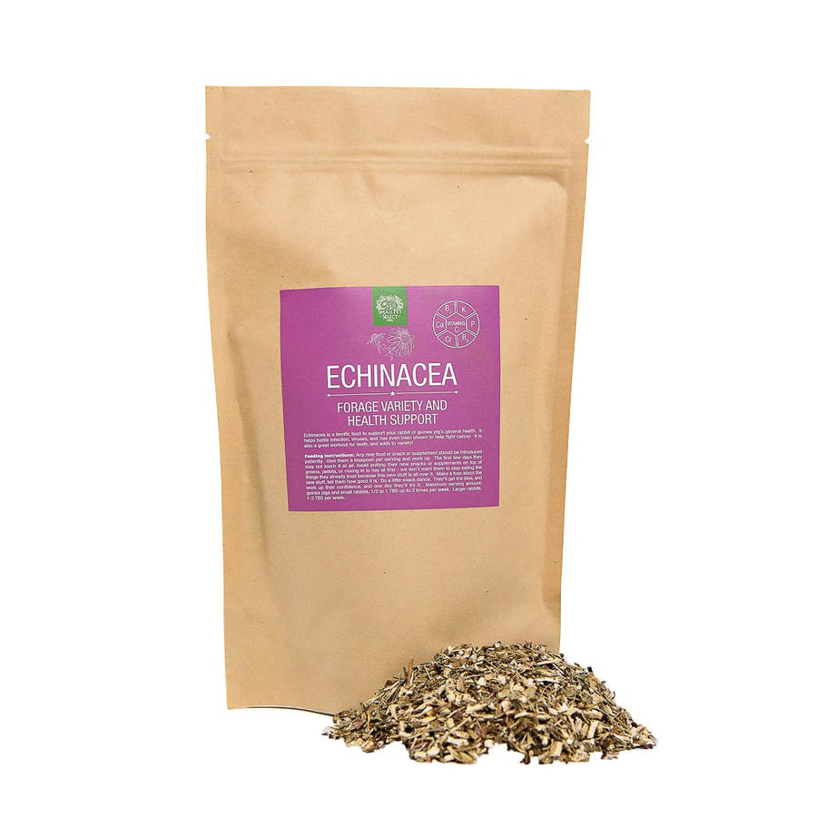 Echinacea | smallpetselect-development