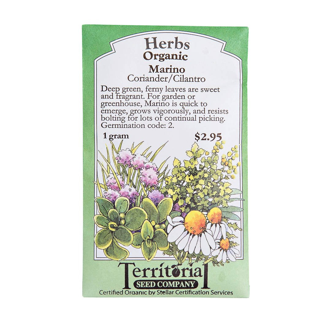 Cilantro Seeds | smallpetselect-development