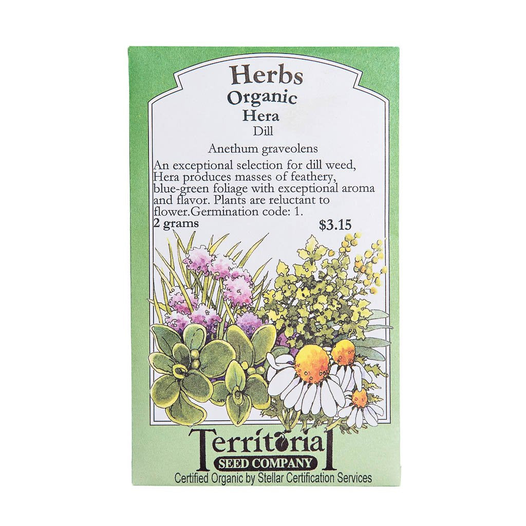 Dill Seeds | smallpetselect-development