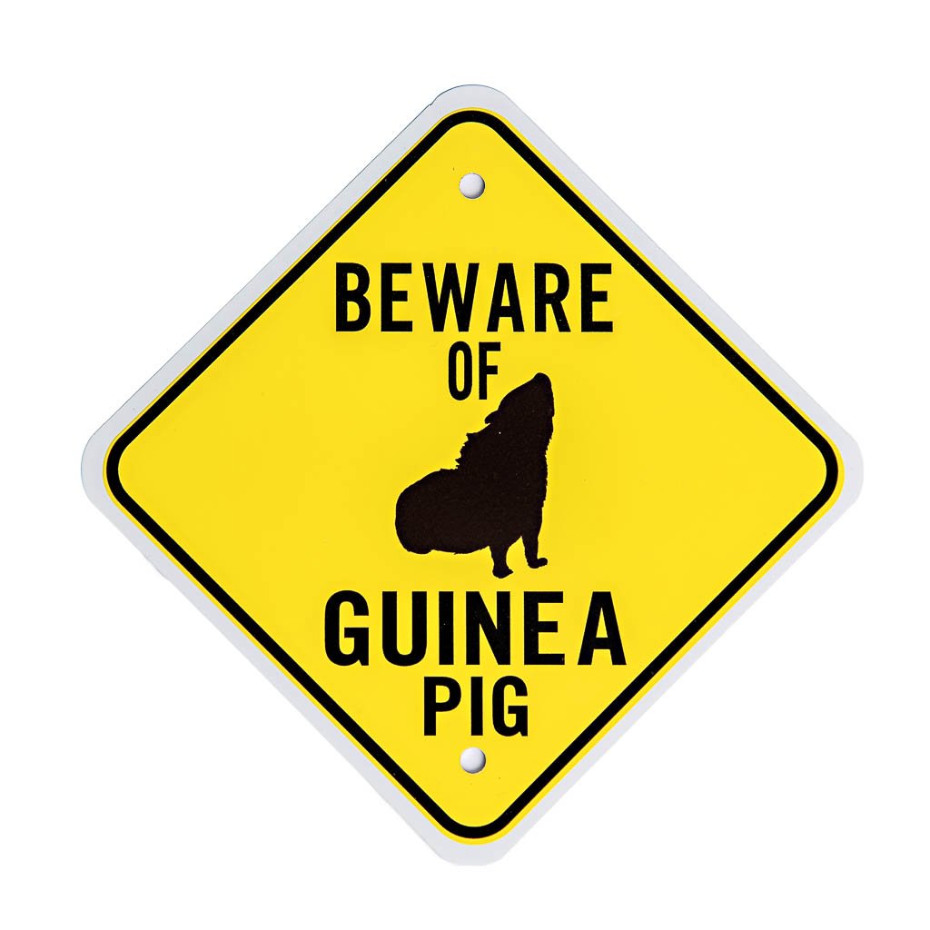 Beware Of Guinea Pig | smallpetselect-development