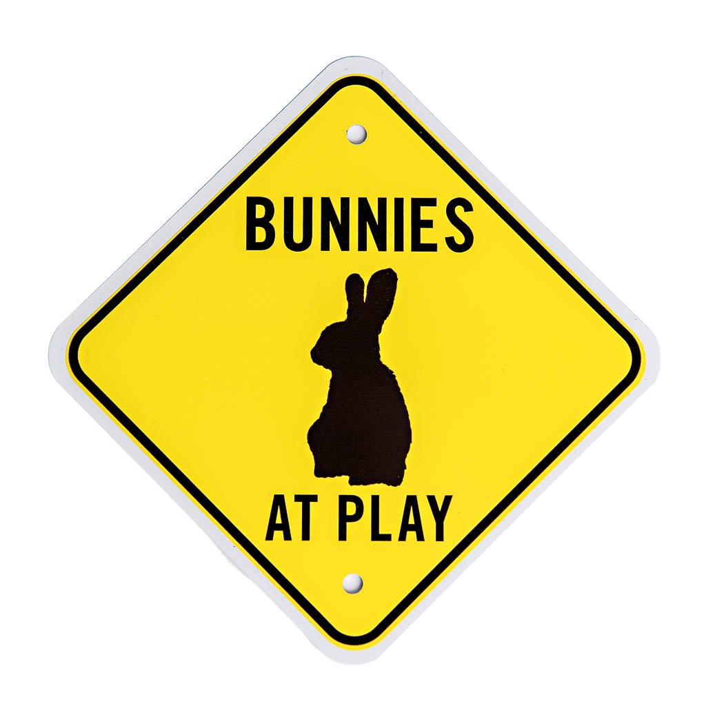 Bunnies At Play | smallpetselect-development