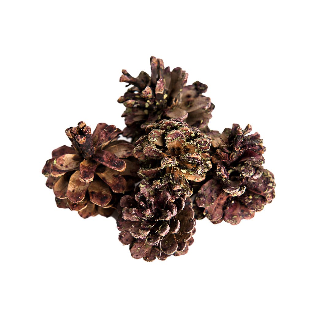 Fancy Fruited Pine Cone Chews | smallpetselect-development