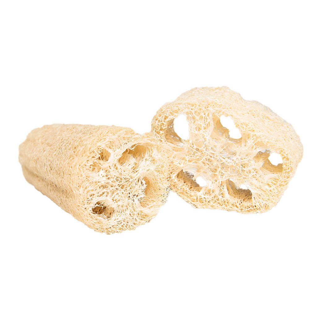 Loofah biscuits and rolls | smallpetselect-development